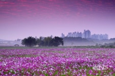 수원시, 오는 27일 당수동 시민농장을 추억하다 열어