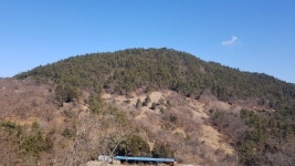 남해군, 이동 무림지구 자연장지 조성사업 추진