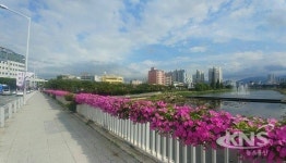 대구 북구, 2019년 녹색환경도시 조성에 32억원 투입