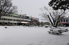 곡성군, 소상공인 지원 강화하며 지역상권 살리기에 총력
