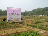 안산시, 주말농장 4곳 3375구획 분양…오는 2월 7일부터 3일간 접수