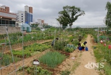 대구 동구, 도심속 힐링 공영텃밭 분양 신청 접수