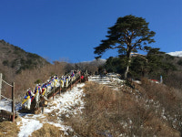 천연기념물 제424호<지리산 천년송>당산제