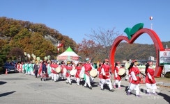 경북도, 지정축제 14개 선정... 청송사과축제 2년 연속 최우수