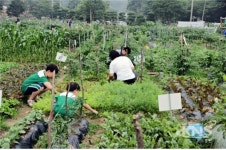 완주에서 텃밭 가꿔보세요