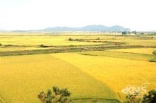 꼼꼼한 공장총량 관리로 김포의 가치를 두 배로!