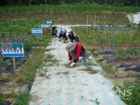 예천군, 온천과 즐기는 주말농장 분양 개시