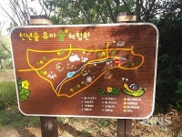 안동시, 유아숲 체험원 3월부터 본격 운영