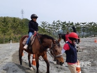 영덕 창수초, 매주 토요일 전교생 승마체험