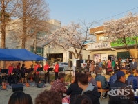 안성시 미양면 화사한 벚꽃과 함께한 작은 음악회 성황