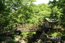 용인시 백암면에 체류형 관광단지 Farm & Forest 타운