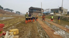 평택시 포승읍, 해군 제2함대 장병과 농촌 일손돕기 구슬땀