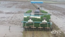 순창 팔덕면, 친환경단지 첫 모내기