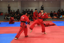 제15회 전국청소년합기도페스티벌 대성황 마무리