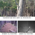강원도, 산림생태문화체험 1번지 백두대간생태수목원