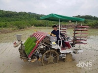 성주군, 올해 월항면 첫 모내기 시작