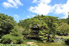 완도군, 제15회 보길 윤선도 문화축제 열린다!