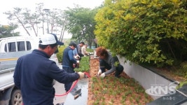 평택시 바르게살기운동 현덕면위원회와 함께한 여름맞이 면 청사 화단 정비