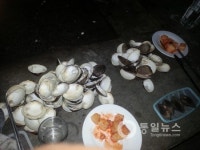 휘발유 조개구이전문 요리점을 찾다