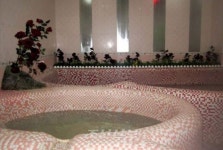 북, 장미꽃전문 편의봉사시설 류경장미원 인기