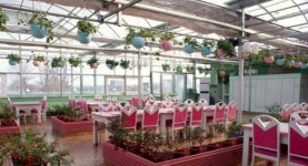 북, 장미꽃전문 편의봉사시설 류경장미원 인기