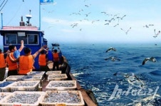 <북 단신> 병렬형태 태양광추적 발전소 개발 등