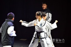 <포토뉴스>북 ITF시범단, 국기원 첫 공연..태권도도 하나, 우리도 하나