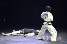 <포토뉴스>북 ITF시범단, 국기원 첫 공연..태권도도 하나, 우리도 하나