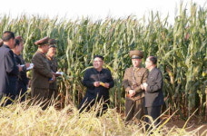 북 김정은, 종자혁명 농장 현지지도..단백초명명