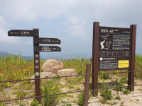 홀로 지리산을 타니 지친 산행객에서 풍류 여행객으로