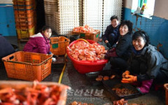 평양 중앙동물원에 사료를 보장해주는 청진의 수산사업소 <조선신보>