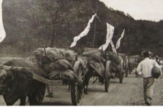 제3부 해방정국(28) – 1946년 북조선(2)-북로당 출범 및 사회 변화