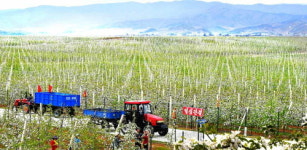 [포토] 北신문이 김정일 국방위원장 10주기에 즈음해 게재한 유훈 현실