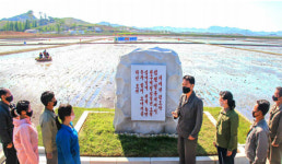 북, 청산협동농장에서 모내기 시작