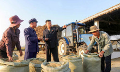 북, 가을 벼수확에 총동원..거짓보고·양곡유출 통제 강화