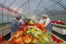 쩡한 맛 함경도 명태김치 만들고 나누고