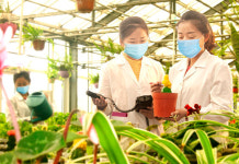 [북 단신] 지방공업성 식료공업연구원, 각종 유산균 제품 개발 등