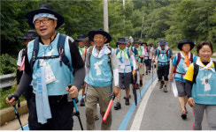 도솔산 안개속에서도 걷는다