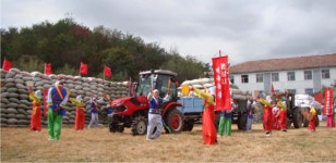 북, 전례없는 알곡생산성과...가을밀 비배관리 돌입