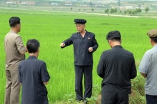 북 김덕훈 내각총리, 황해남도 농업부문 사업 현지 시찰