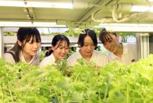 재일 조선대 조국방문 학생들, 만수대언덕·화성대동강맥주집 등 방문