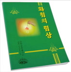 북, 민족 전통유산 화침 요법 소개...전문 고려화침 개발