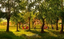 한반도 북부 부전호반에 펼쳐진 농촌의 모습은?