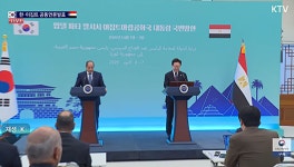 한-이집트 정상, 