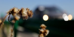 윈도우 바탕화면에 나올 법한 청더(承德) 피서산장, 1일 자동차 여행 코스로 제격