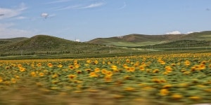 윈도우 바탕화면에 나올 법한 청더(承德) 피서산장, 1일 자동차 여행 코스로 제격