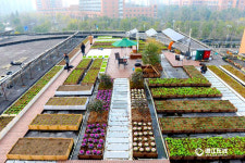 ‘농장’ 지은 항저우 대학교, 자체 순환시스템으로 ‘인기 폭발’