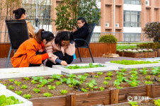 ‘농장’ 지은 항저우 대학교, 자체 순환시스템으로 ‘인기 폭발’