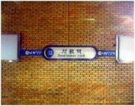 한국 대표 관광지 남이섬, 어떻게 가지? (1- 셔틀버스 편)