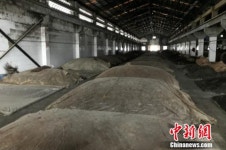 화장을 거절하는 여성 술 시음사, 그녀가 전하는 ‘좋은 백주 고르는 법’